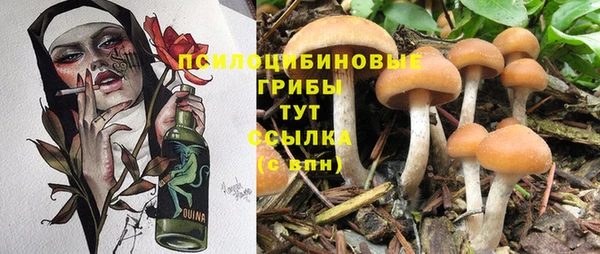 меф Тавда