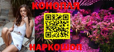 apvp Кимры
