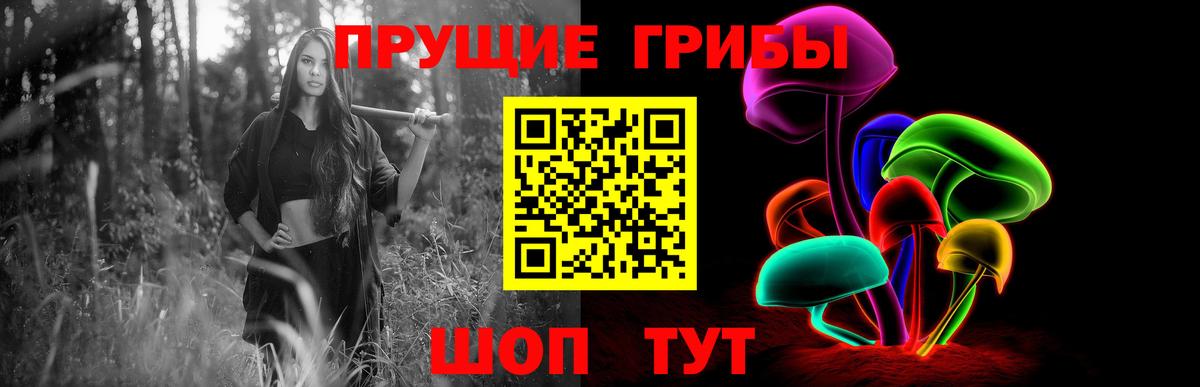 Галлюциногенные грибы GOLDEN TEACHER  Галлюциногенные грибы прущие грибы  Вход с VPN  Усть-Лабинск 